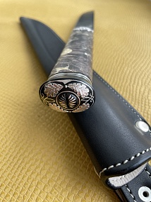 "Степняк в Дубах"