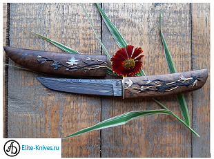 "Новая Жизнь"